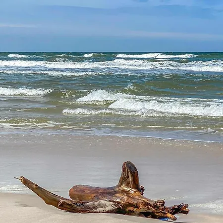 別荘 Amazing In With Wifi Białogóra